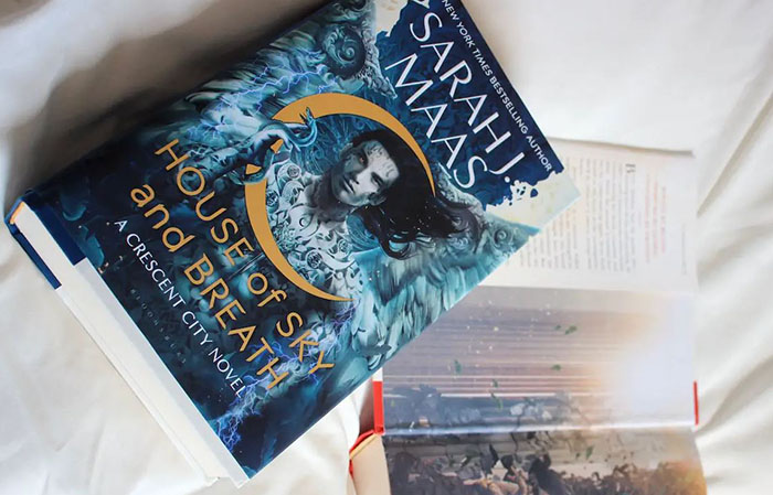 House Of Sky And Breath Book Review (3)